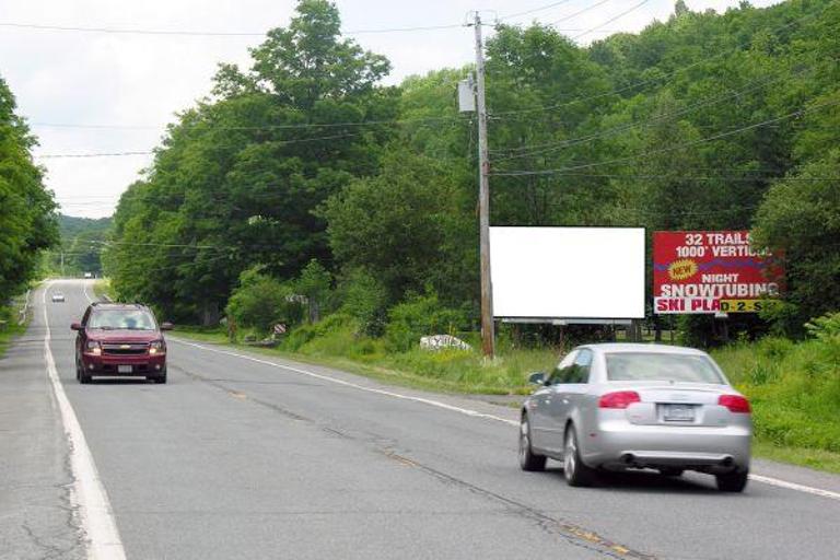 Photo of a billboard in Oliverea