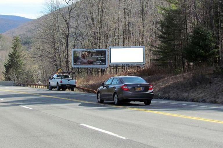 Photo of a billboard in Halcottsville