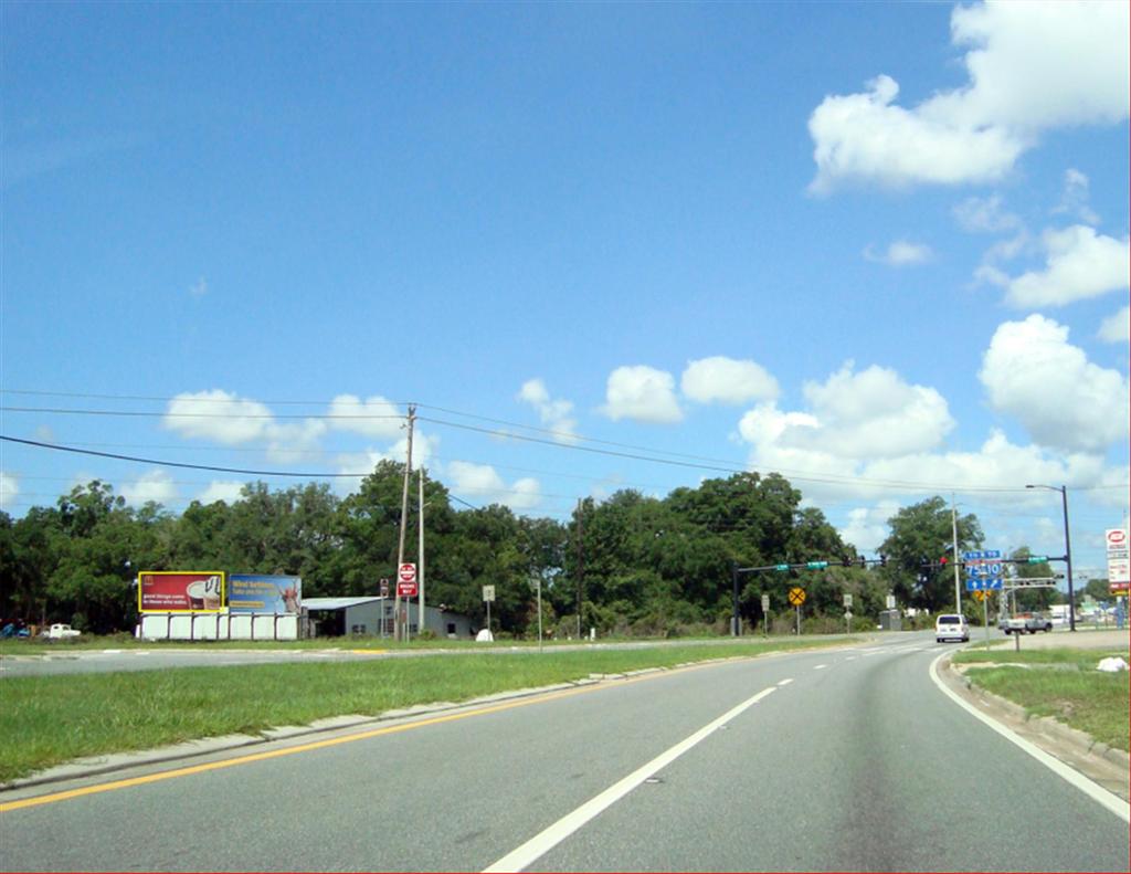 Photo of a billboard in Olustee