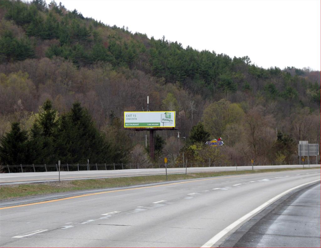 Photo of a billboard in Schenevus