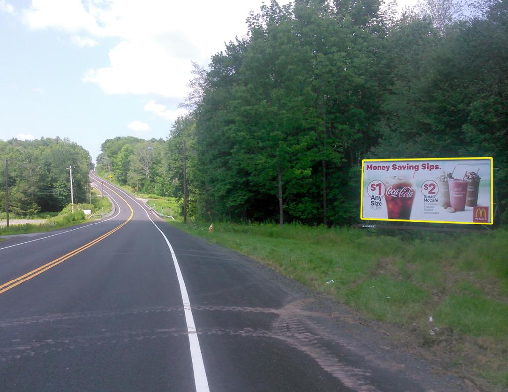 Photo of a billboard in South Fallsburg