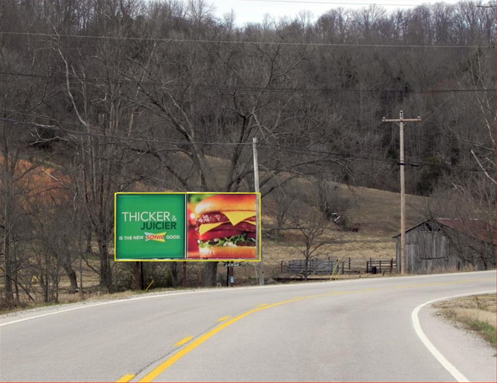 Photo of a billboard in Dixon Springs