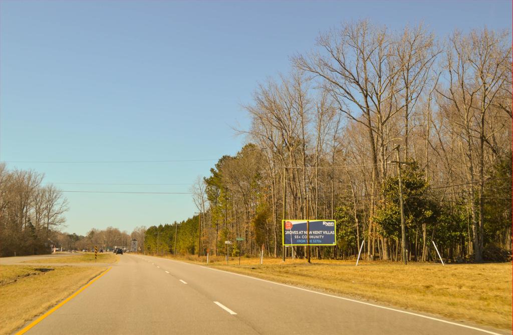 Photo of a billboard in Ruthville