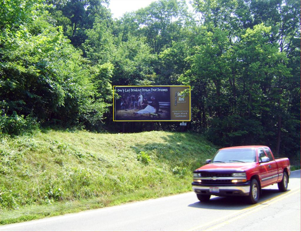 Photo of a billboard in Metamora