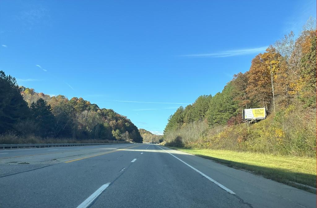 Photo of a billboard in Melvin