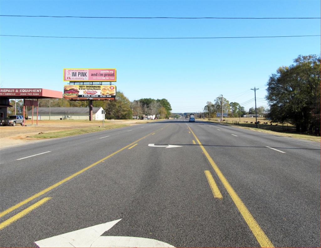 Photo of a billboard in Brundidge