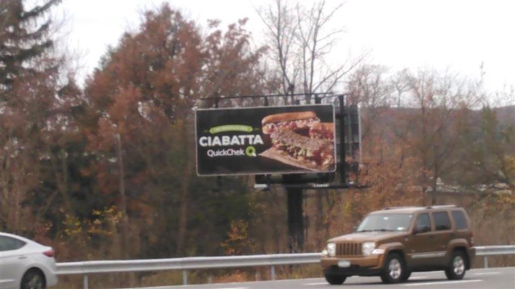 Photo of a billboard in Esopus