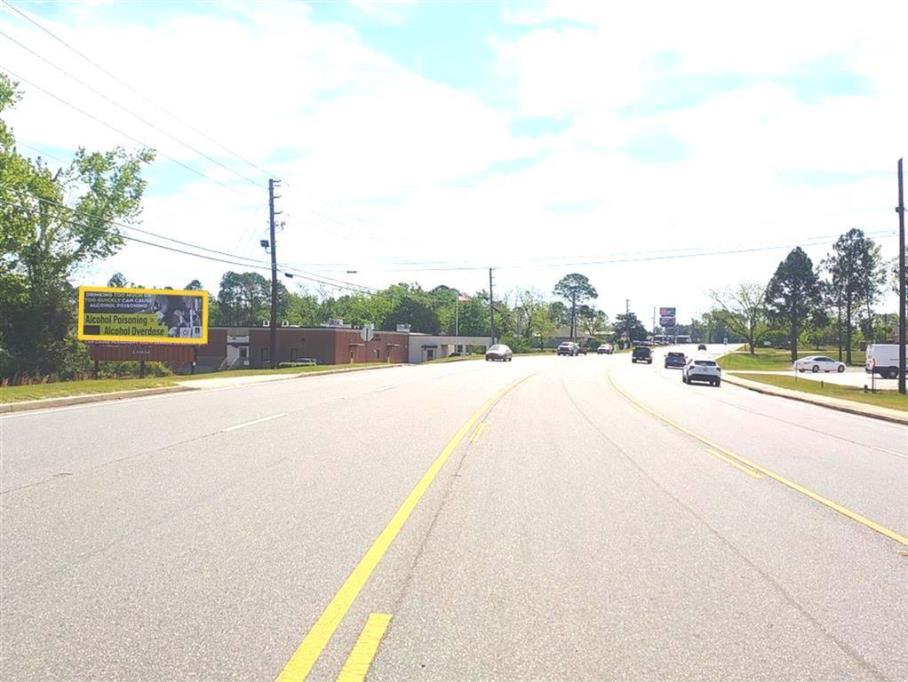 Photo of a billboard in McRae-Helena