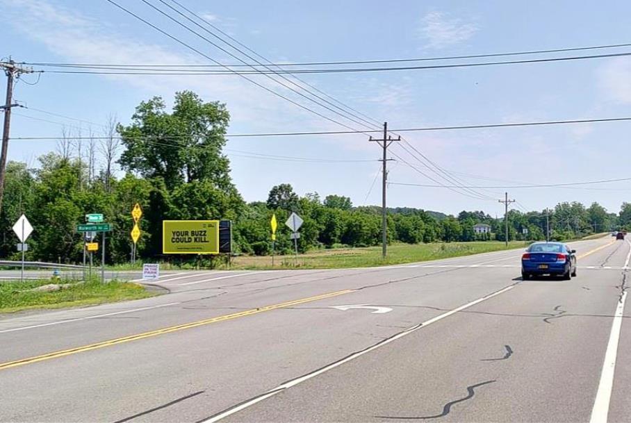 Photo of a billboard in Palmyra
