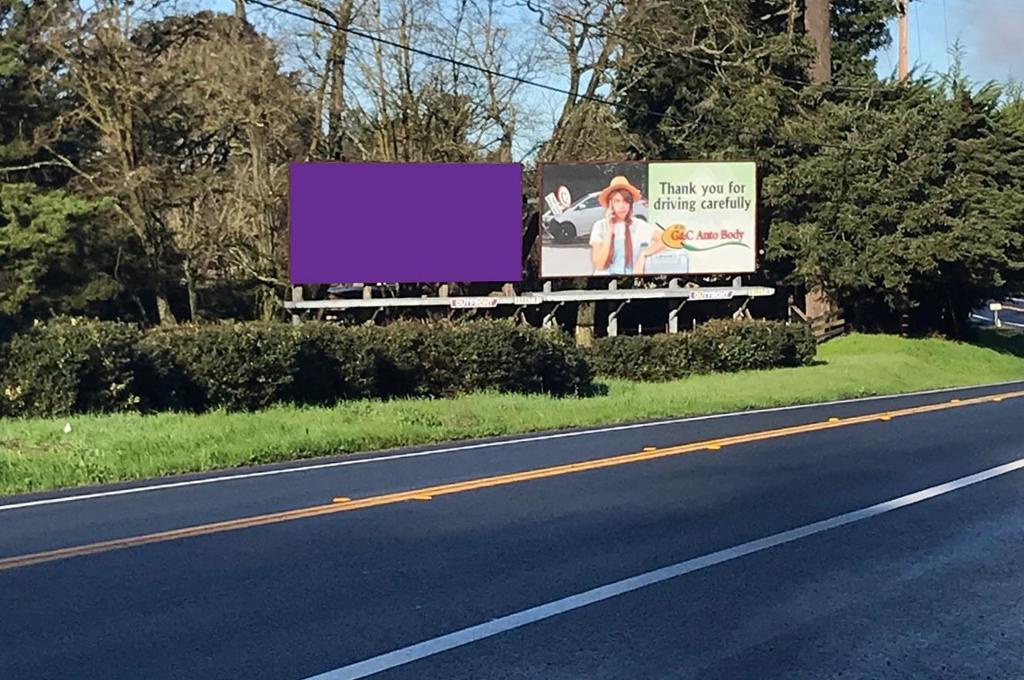 Photo of a billboard in Bodega