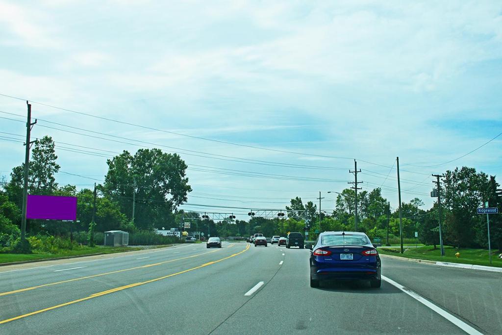 Photo of a billboard in Clinton Twp