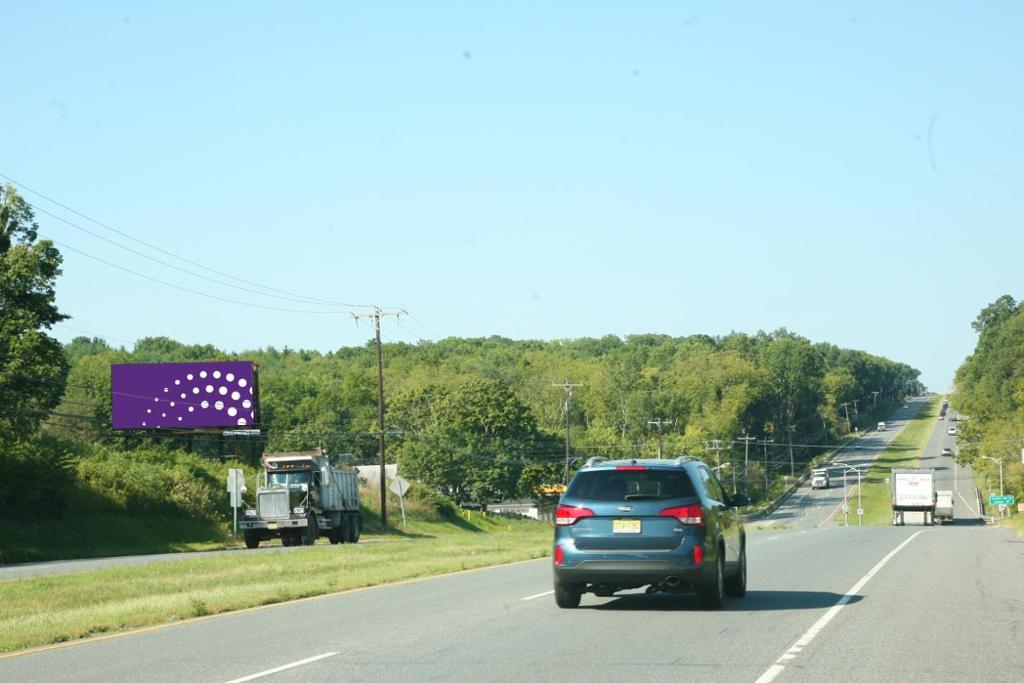 Photo of a billboard in Readington Township