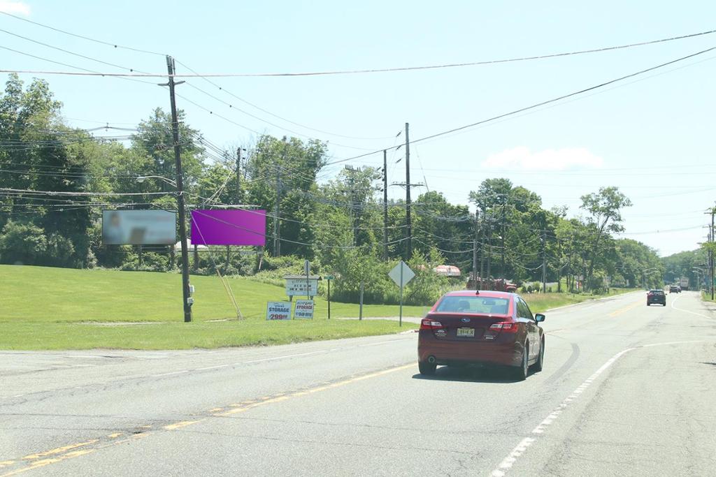 Photo of a billboard in Walpack Township