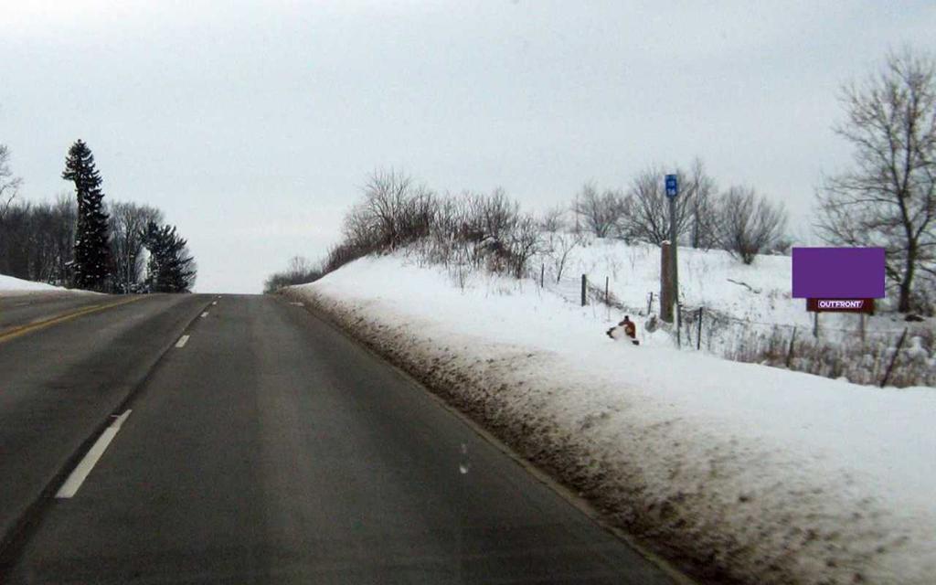 Photo of a billboard in Byron Center