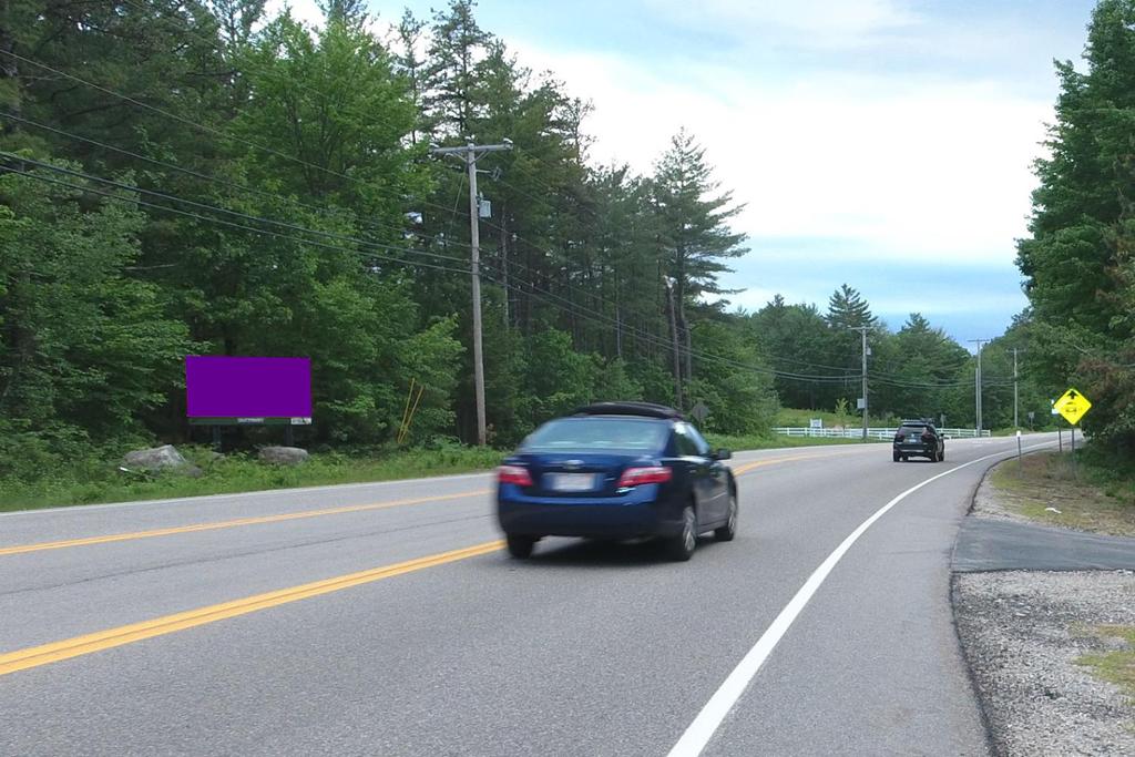 Photo of a billboard in Bryant Pond