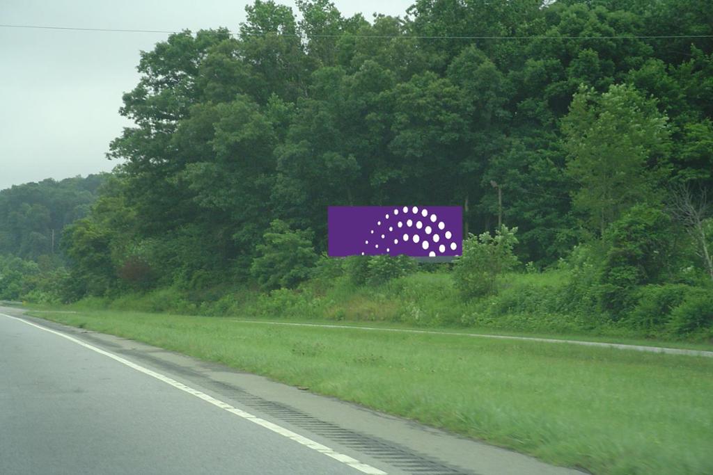 Photo of a billboard in Lawsonville