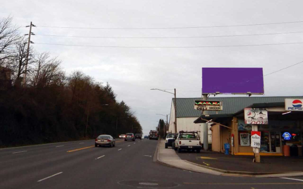 Photo of a billboard in Trout Lake