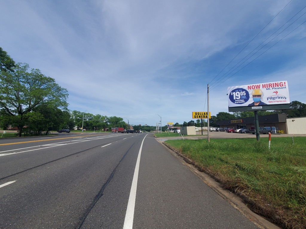 Photo of a billboard in Lone Star