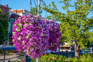 Medford Oregon local advertising