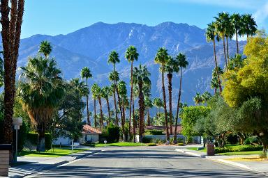 Palm Springs California bus ads