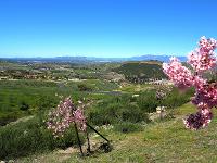 Simi Valley, California