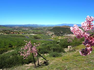 Simi Valley California local advertising