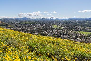 Thousand Oaks California local advertising