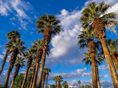 Chino California billboards