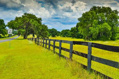 Homestead Florida local advertising