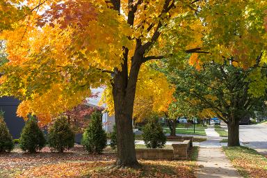 Livonia Michigan local advertising