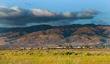 Milpitas California transit ads