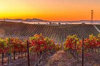 Napa, California