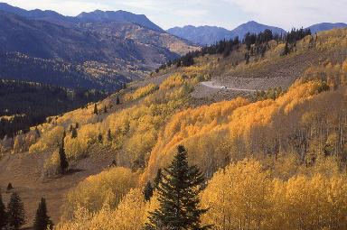 Sandy Utah movie theater ads