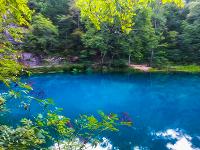 Blue Springs, Missouri