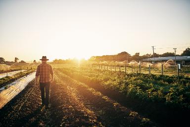 Farms