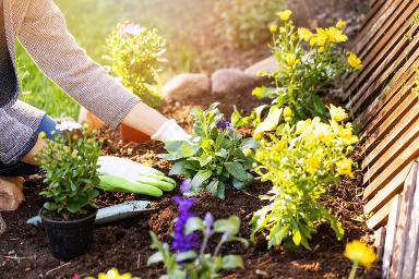 Gardening