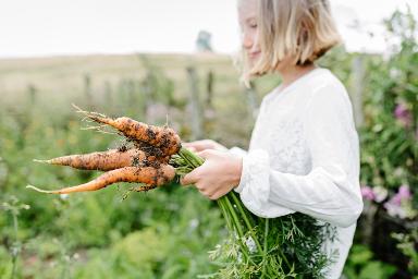 Plant-based Diet Awareness