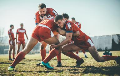 Professional Rugby